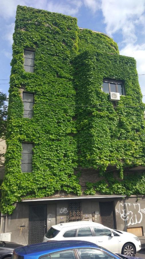 Central GREEN HOUSE Bucarest Exterior foto